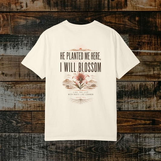 Illustrated Scripture Tee - Hosea 14:5 - Lily - He Planted Me Here Shirt