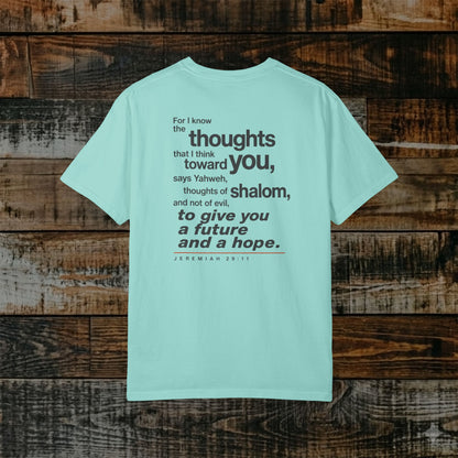 Jeremiah 29:11 Hebrew-Roots Scripture Tee - Full Verse - Future and Hope