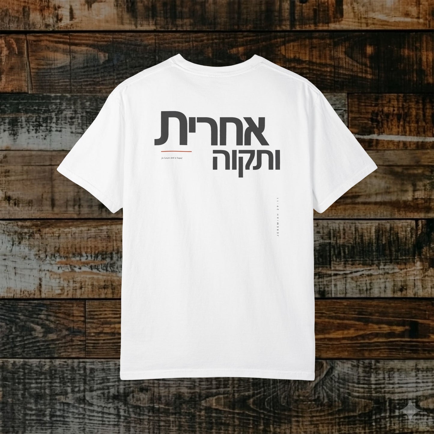 Original Language Scripture Tee: Jeremiah 29:11 — Future and Hope