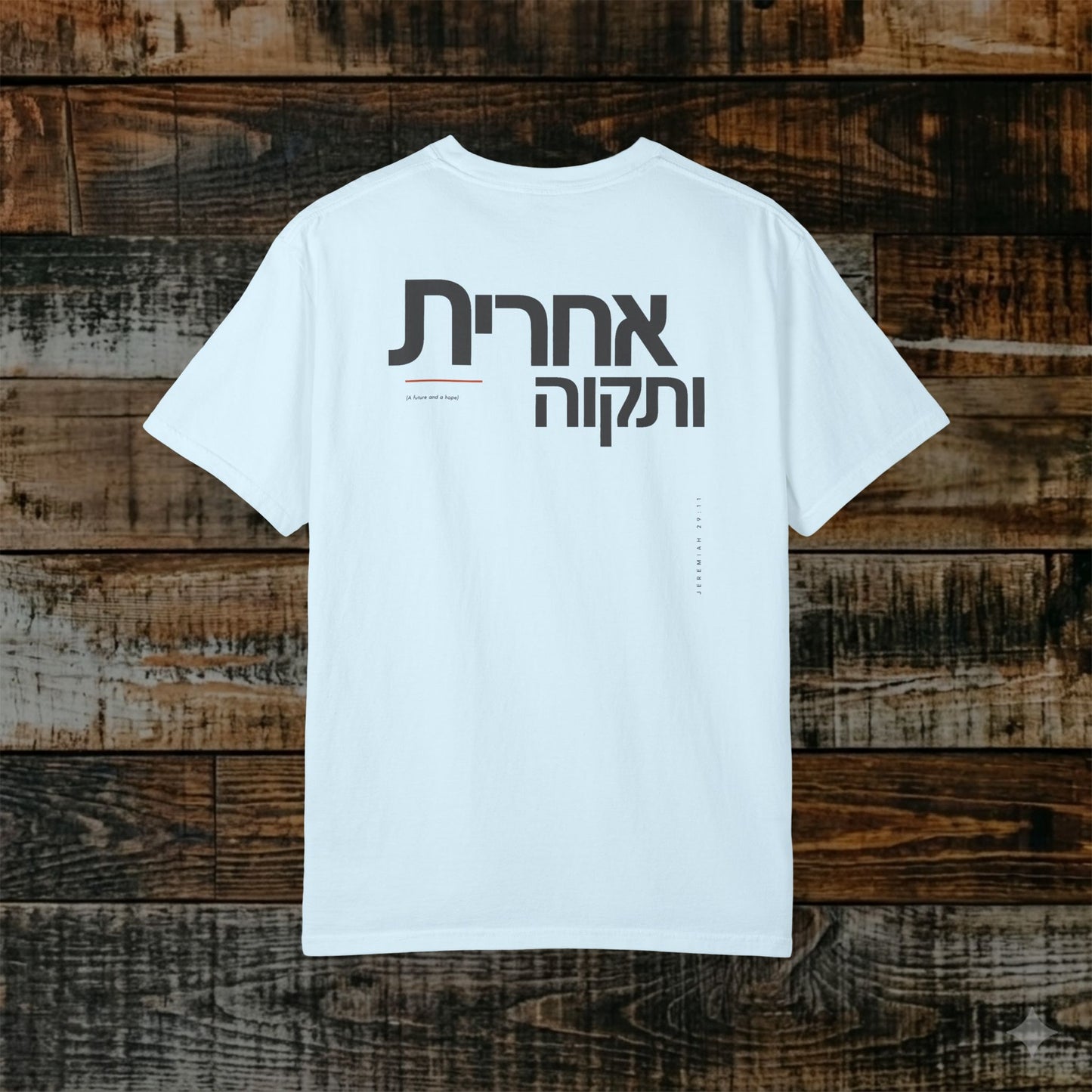 Original Language Scripture Tee: Jeremiah 29:11 — Future and Hope