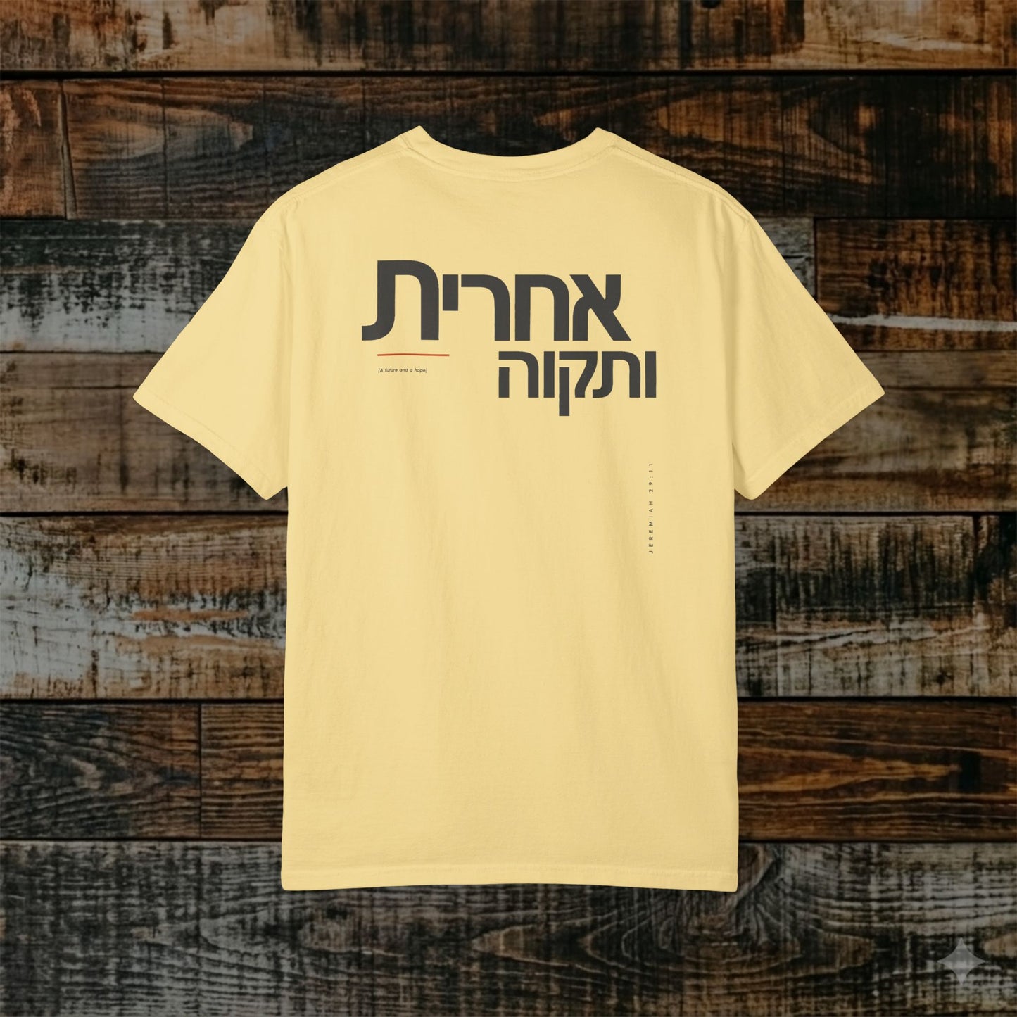 Original Language Scripture Tee: Jeremiah 29:11 — Future and Hope
