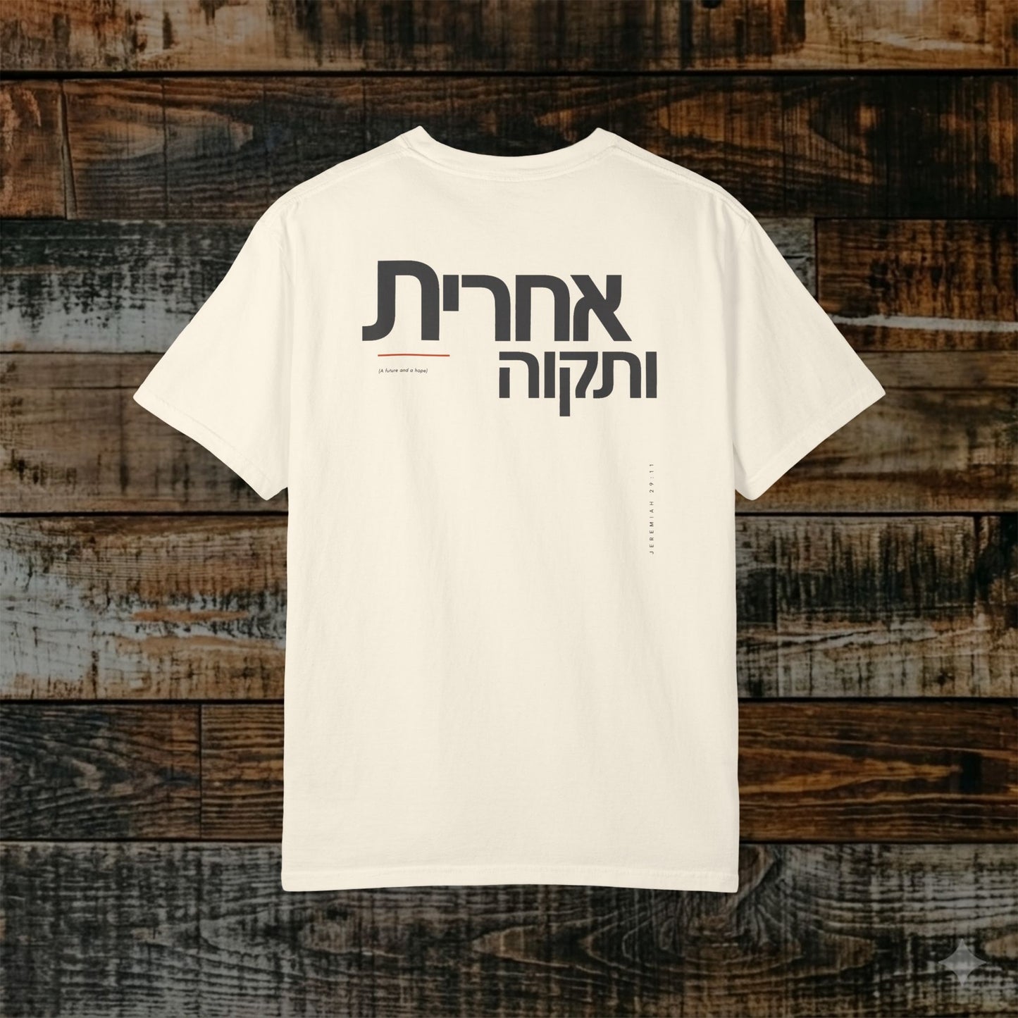 Original Language Scripture Tee: Jeremiah 29:11 — Future and Hope