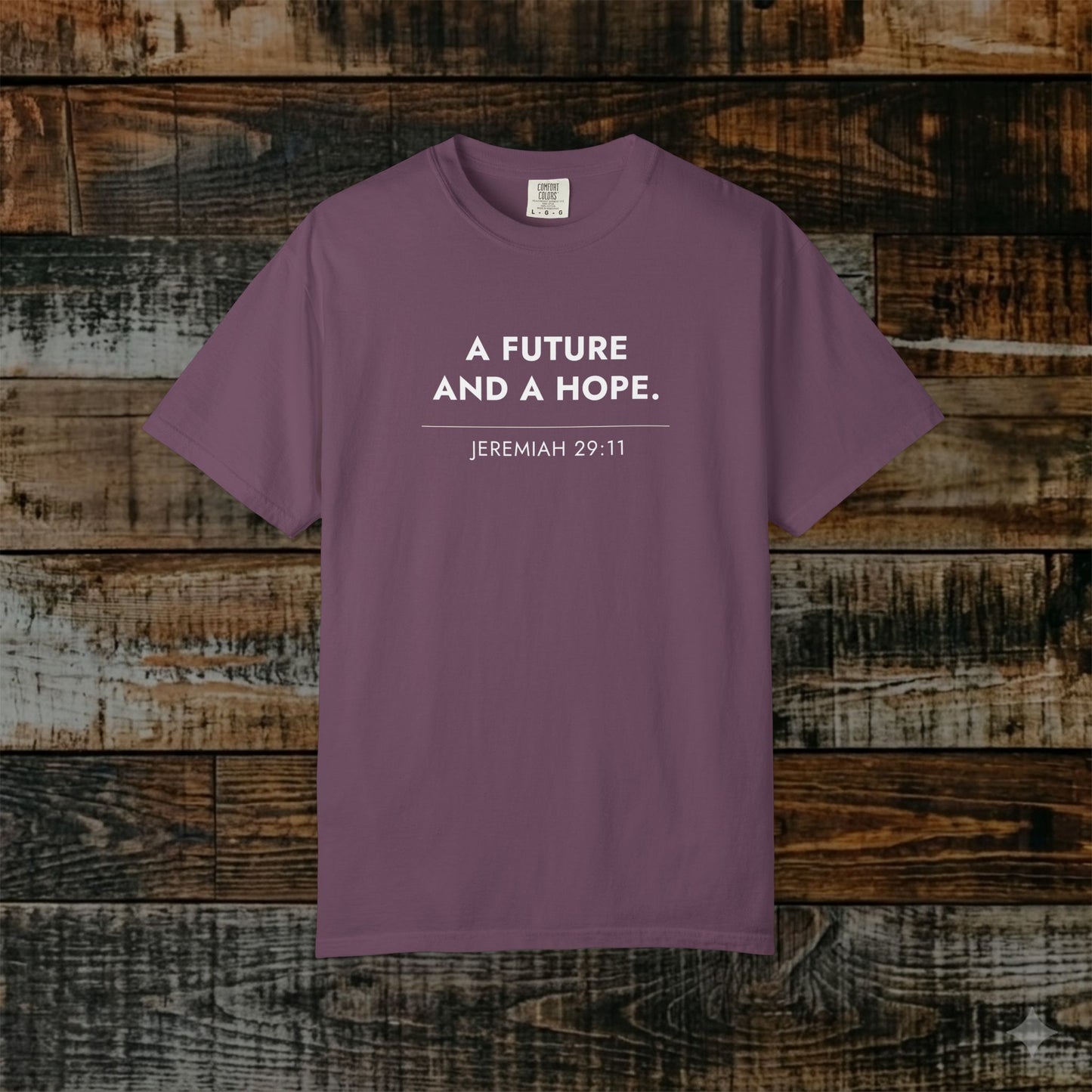 Plans to Prosper — Jeremiah 29:11 Christian Scripture Tee
