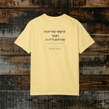 Original Language Scripture Tee: Psalm 34:4 — I sought YHVH and He answered me