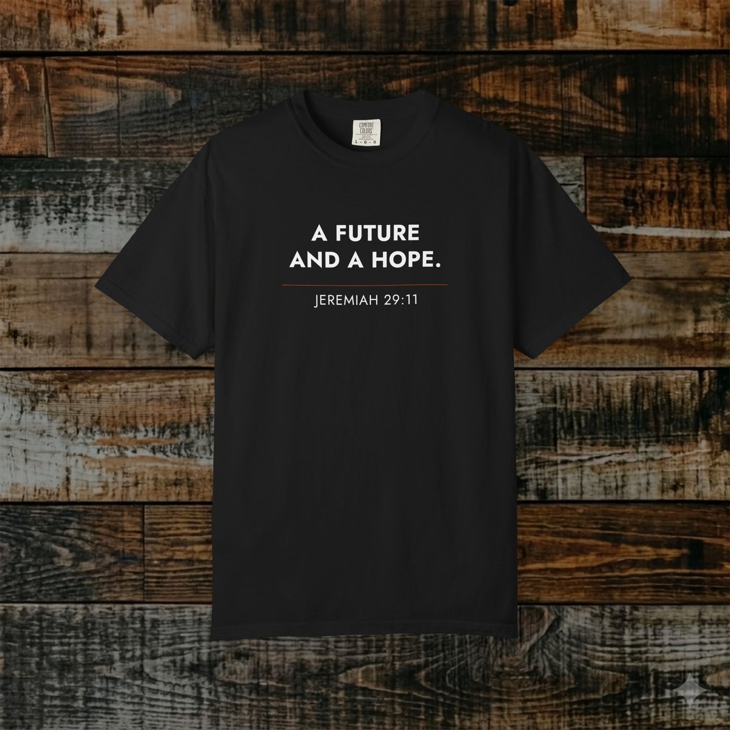 Plans for Shalom — Jeremiah 29:11 Hebrew Roots Scripture Tee