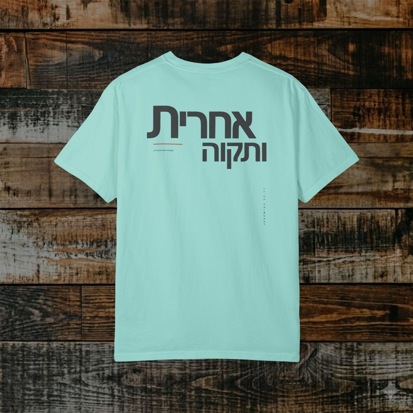 Original Language Scripture Tee: Jeremiah 29:11 — Future and Hope