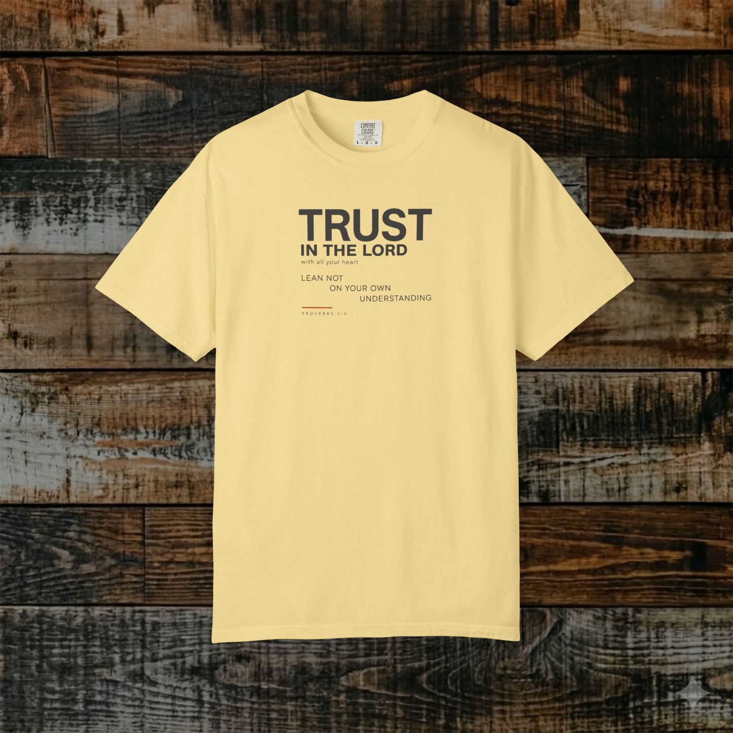 Proverbs 3:5 Minimalist Christian Scripture Tee - Trust in the LORD with all your heart