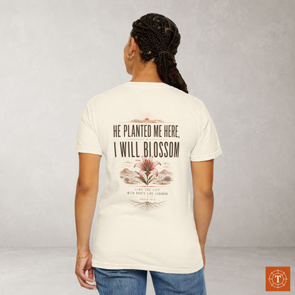 Illustrated Scripture Tee - Hosea 14:5 - Lilly - He Planted Me Here Shirt