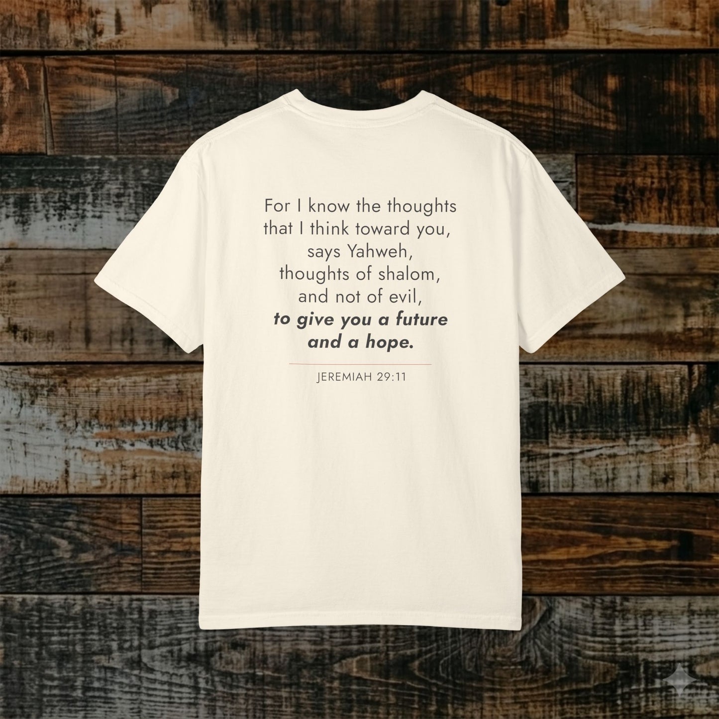 Jeremiah 29:11 Hebrew-Roots Scripture Tee — Full Verse Collection