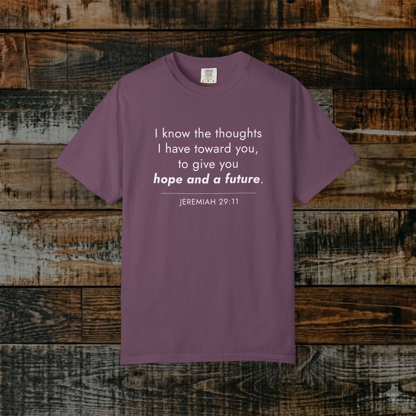Jeremiah 29:11 Minimalist Bible Verse Christian Scripture Tee
