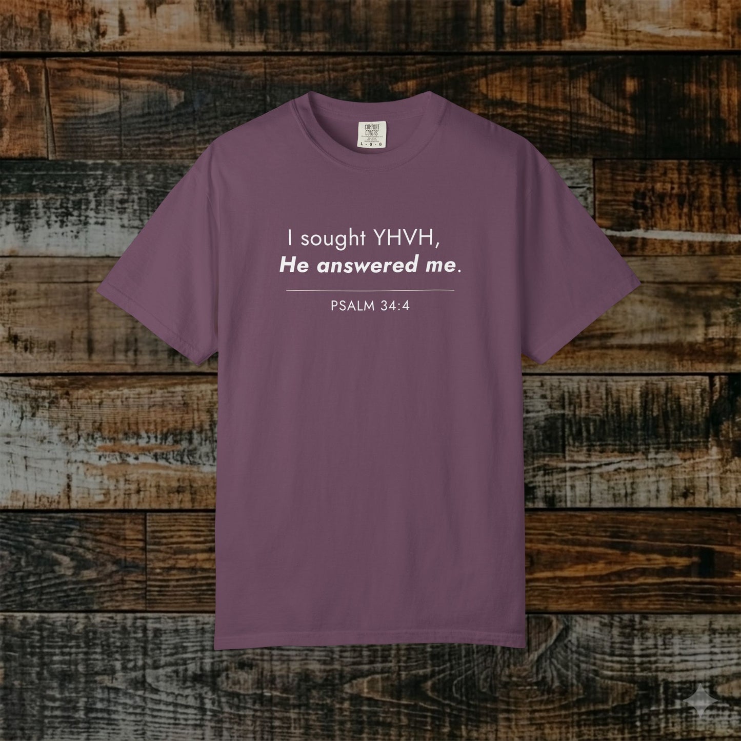Psalm 34:4 Minimalist Hebrew Roots Scripture Tee