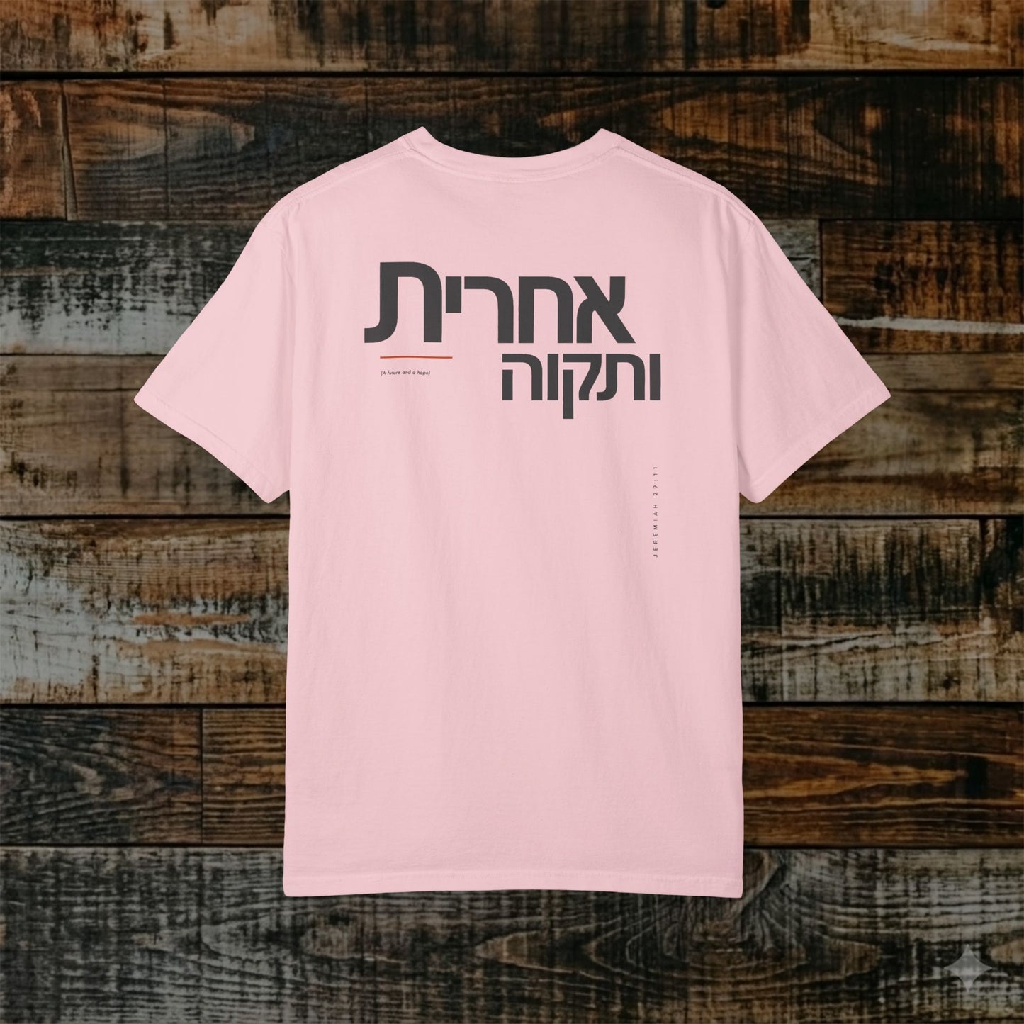 Original Language Scripture Tee: Jeremiah 29:11 — Future and Hope