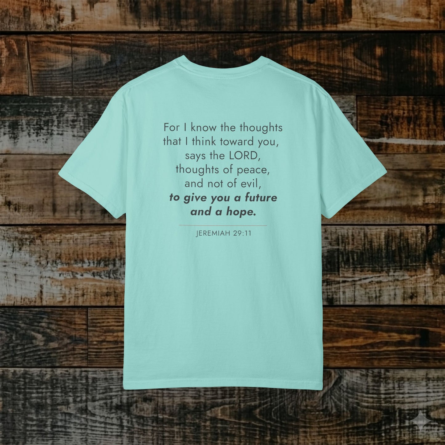 Jeremiah 29:11 Christian Scripture Tee — Full Verse Collection