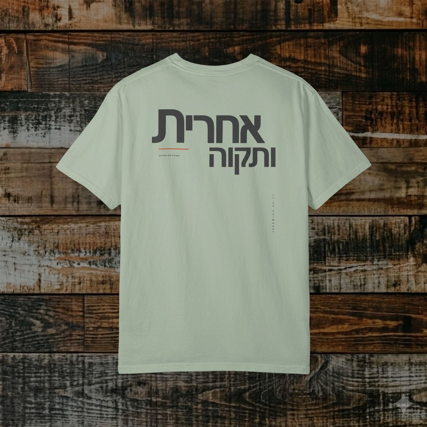 Original Language Scripture Tee: Jeremiah 29:11 — Future and Hope